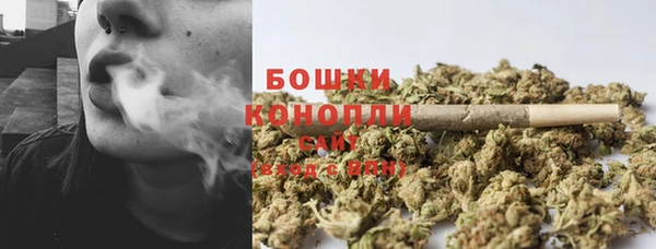 шишки Алзамай