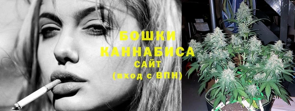 шишки Алзамай