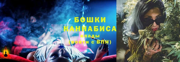 шишки Алзамай