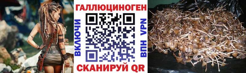 Псилоцибиновые грибы Psilocybine cubensis  где купить наркоту  Каневская 